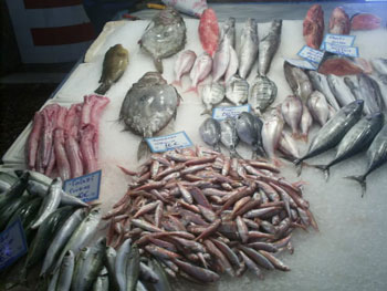 Fisch