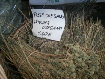 Oregano