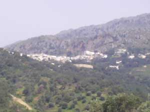 Selia